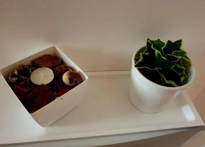 Sweetness Wave * Quartu SantʼElena